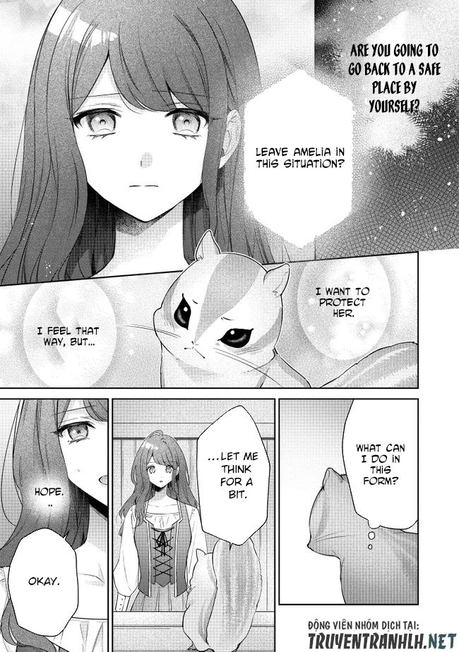 My Fiancé, Who Used to Hate Me, Turned into a Squirrel and Came to Me for Help. Chapter 3 Page 23
